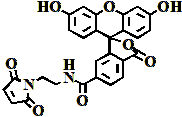 6-羧基熒光素馬來酰亞胺